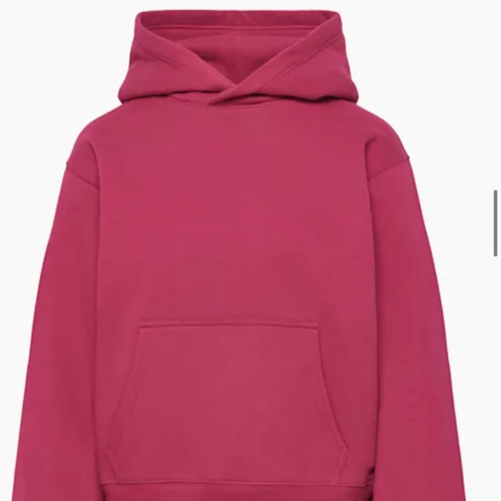 Aritzia TNA cozy perfect fleece hoodie